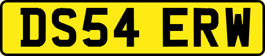 DS54ERW