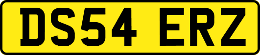 DS54ERZ