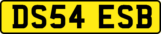 DS54ESB