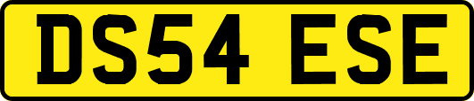 DS54ESE