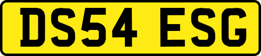 DS54ESG