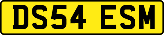 DS54ESM