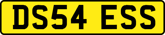 DS54ESS