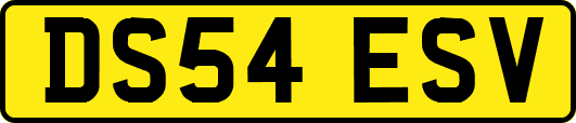 DS54ESV