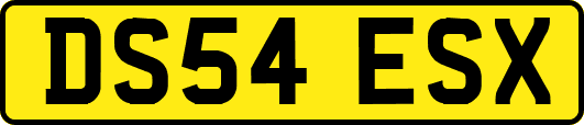 DS54ESX
