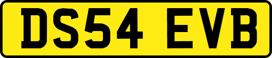 DS54EVB