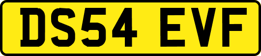 DS54EVF