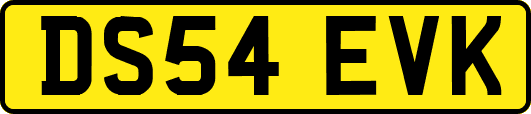 DS54EVK
