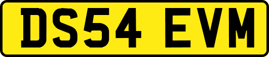 DS54EVM