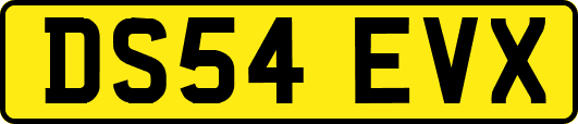 DS54EVX