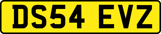 DS54EVZ