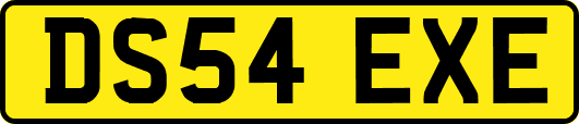 DS54EXE