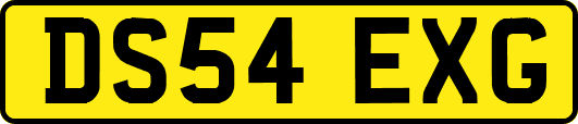 DS54EXG