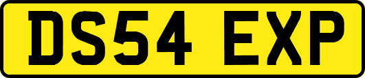 DS54EXP