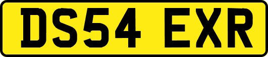 DS54EXR
