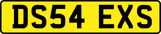 DS54EXS