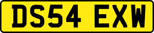 DS54EXW