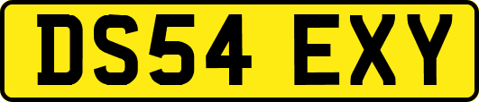 DS54EXY