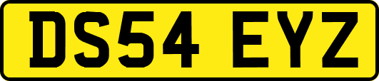 DS54EYZ