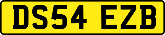 DS54EZB