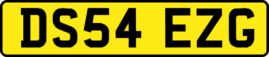 DS54EZG