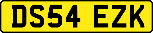 DS54EZK