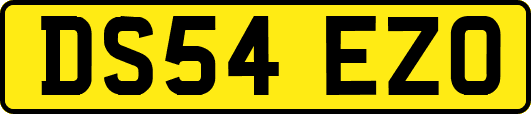 DS54EZO