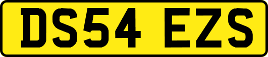 DS54EZS