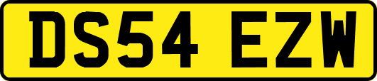 DS54EZW