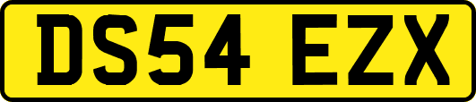 DS54EZX