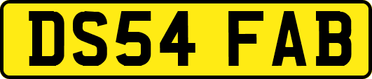 DS54FAB