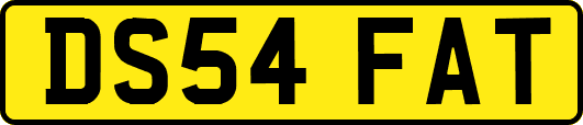 DS54FAT