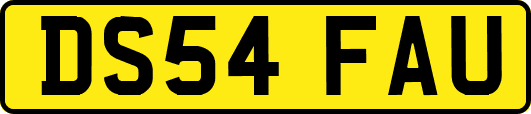 DS54FAU