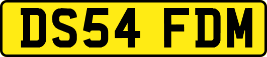 DS54FDM