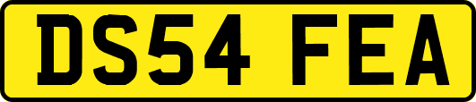DS54FEA