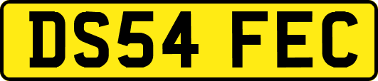 DS54FEC