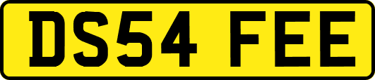 DS54FEE