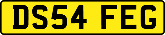 DS54FEG