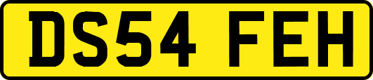 DS54FEH