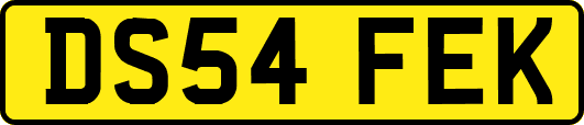 DS54FEK