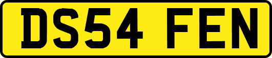 DS54FEN