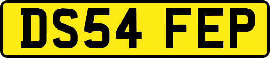 DS54FEP