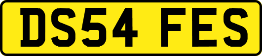 DS54FES