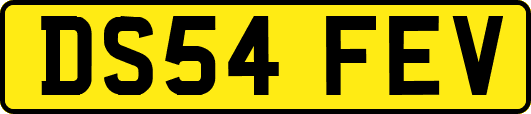 DS54FEV