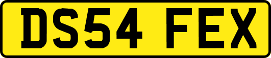 DS54FEX