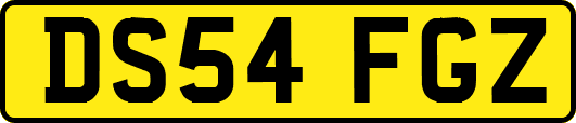 DS54FGZ