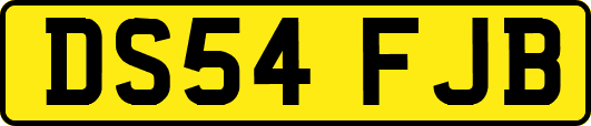 DS54FJB