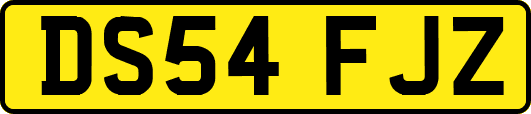 DS54FJZ
