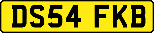 DS54FKB
