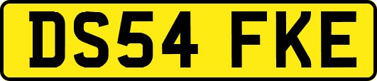 DS54FKE